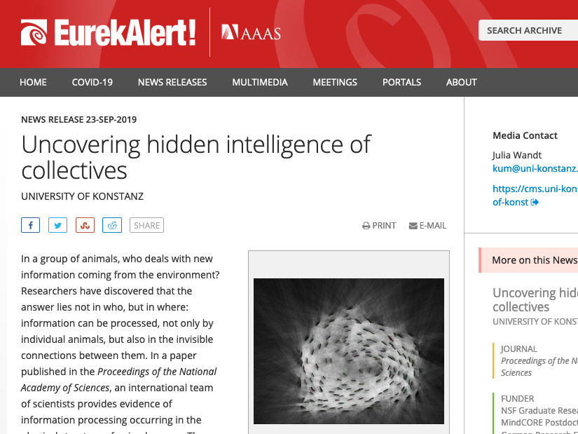 Uncovering hidden intelligence of collectives