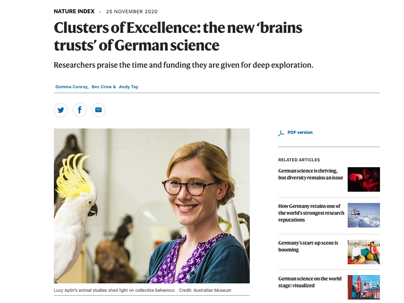 Clusters of Excellence: the new ‘brains trusts’ of German science