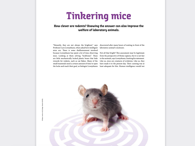 Tinkering Mice