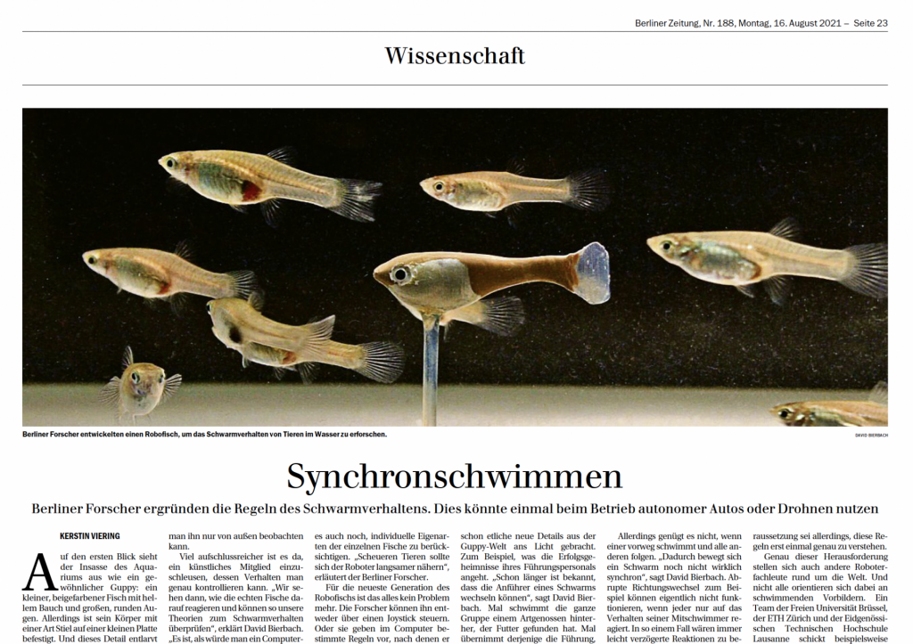 Synchronschwimmen