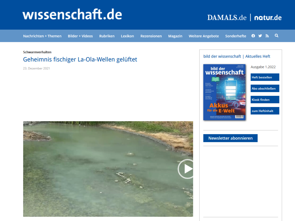 Geheimnis fischiger La-Ola-Wellen gelüftet