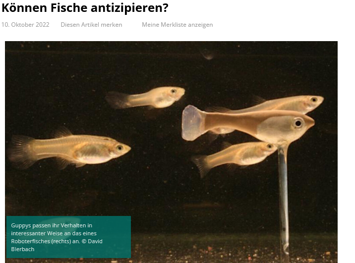 Können Fische antizipieren?