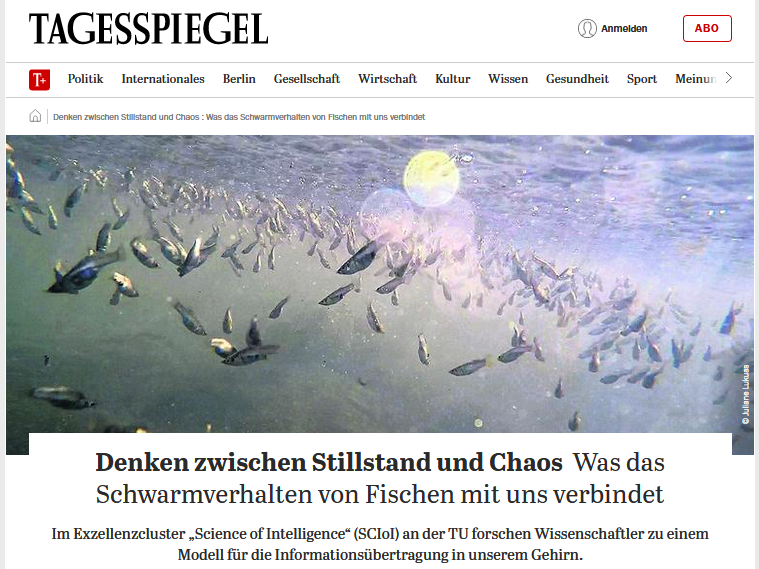 Denken zwischen Stillstand und Chaos