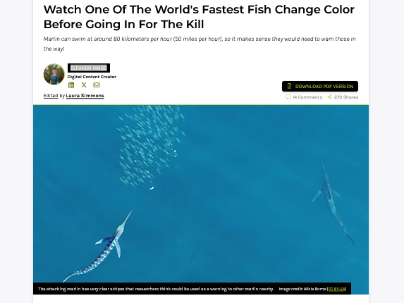 Watch One Of The World's Fastest Fish Change Color Before Going In For The Kill